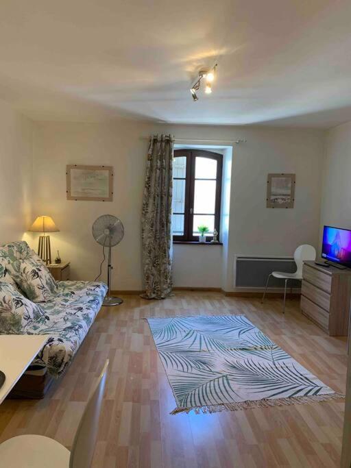 Aubenas Plein Centre Tout Pres Du Chateau Экстерьер фото